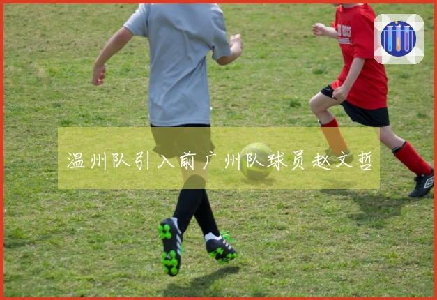 温州队引入前广州队球员赵文哲