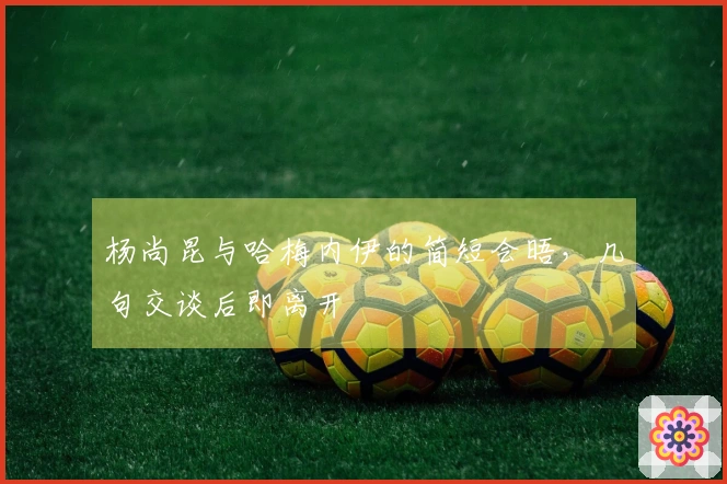 杨尚昆与哈梅内伊的简短会晤，几句交谈后即离开