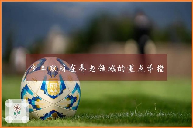 今年政府在养老领域的重点举措