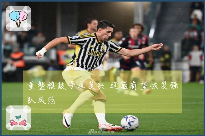 重整旗鼓寻求复兴 辽篮有望恢复强队风范